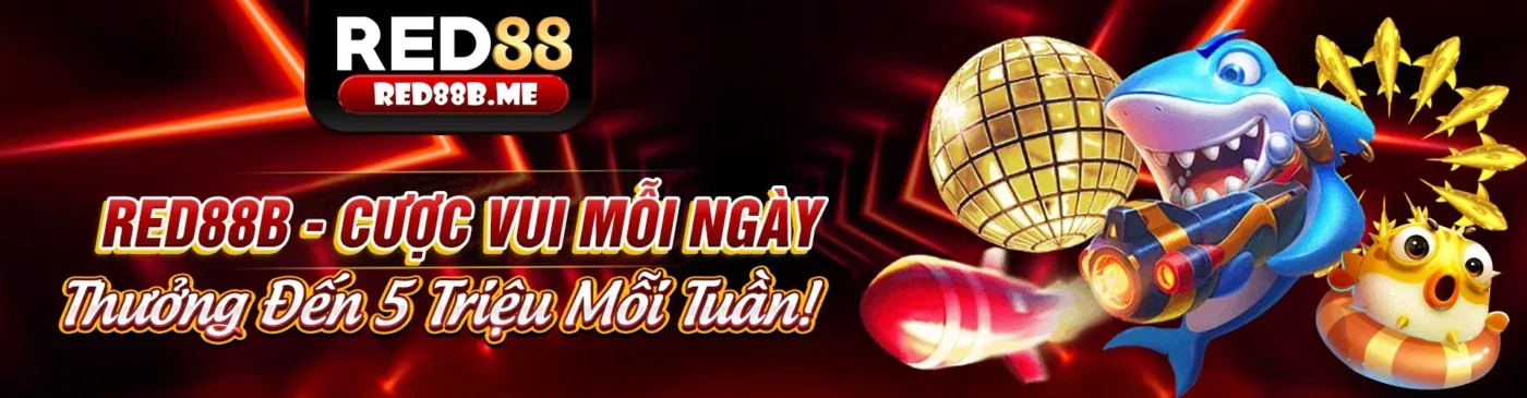 Tin tức mới nhất từ win666 club 2026